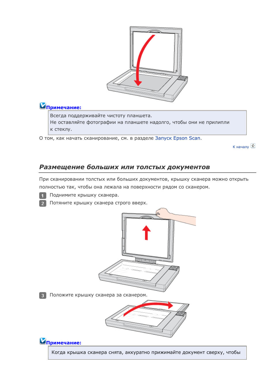 Схема сканера epson perfection